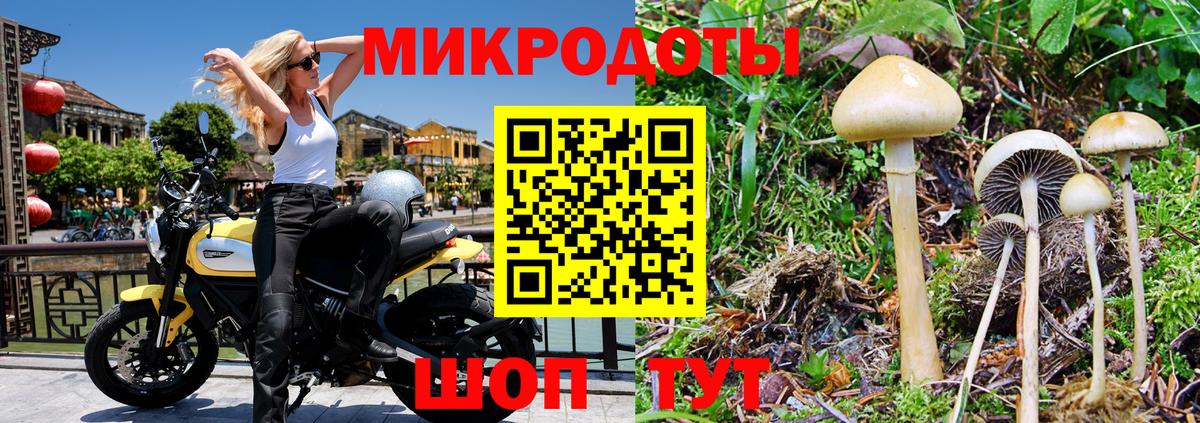 Псилоцибиновые грибы Magic Shrooms  Псилоцибиновые грибы мицелий  Тула  Вход с VPN 