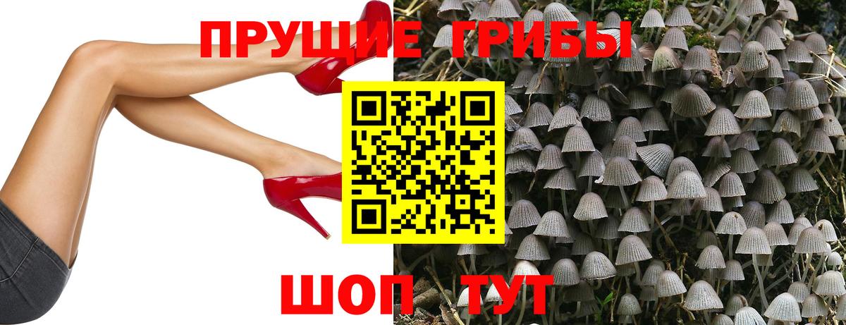Галлюциногенные грибы ЛСД Тула